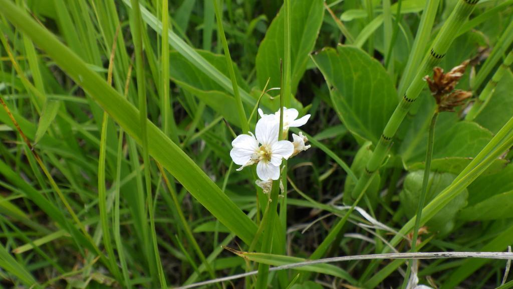 Kiritappuri ξενώνας Hokkaido Εξωτερικό φωτογραφία