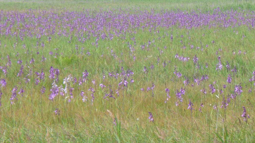 Kiritappuri ξενώνας Hokkaido Εξωτερικό φωτογραφία