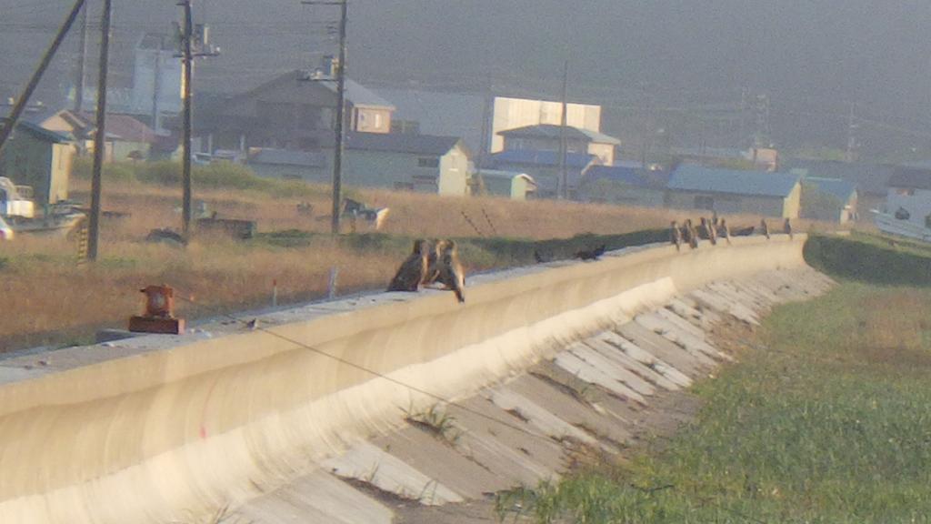 Kiritappuri ξενώνας Hokkaido Εξωτερικό φωτογραφία